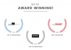 Delta Children Princess Canopy Toddler Bed