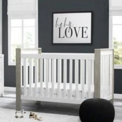 Delta Children Baby Cribs Miles 4-in-1 Convertible Crib