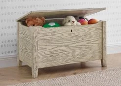Delta Children Farmhouse Toy Box