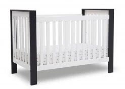 Delta Children Baby Cribs Miles 4-in-1 Convertible Crib