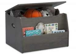 Delta Children Storage & Organization Nolan Toy Box
