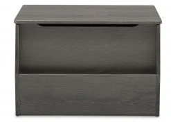 Delta Children Storage & Organization Nolan Toy Box