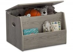 Delta Children Storage & Organization Nolan Toy Box