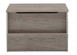 Delta Children Storage & Organization Nolan Toy Box