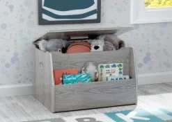 Delta Children Storage & Organization Nolan Toy Box